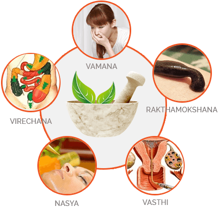 Panchakarma Therapy